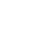 secured-icon
